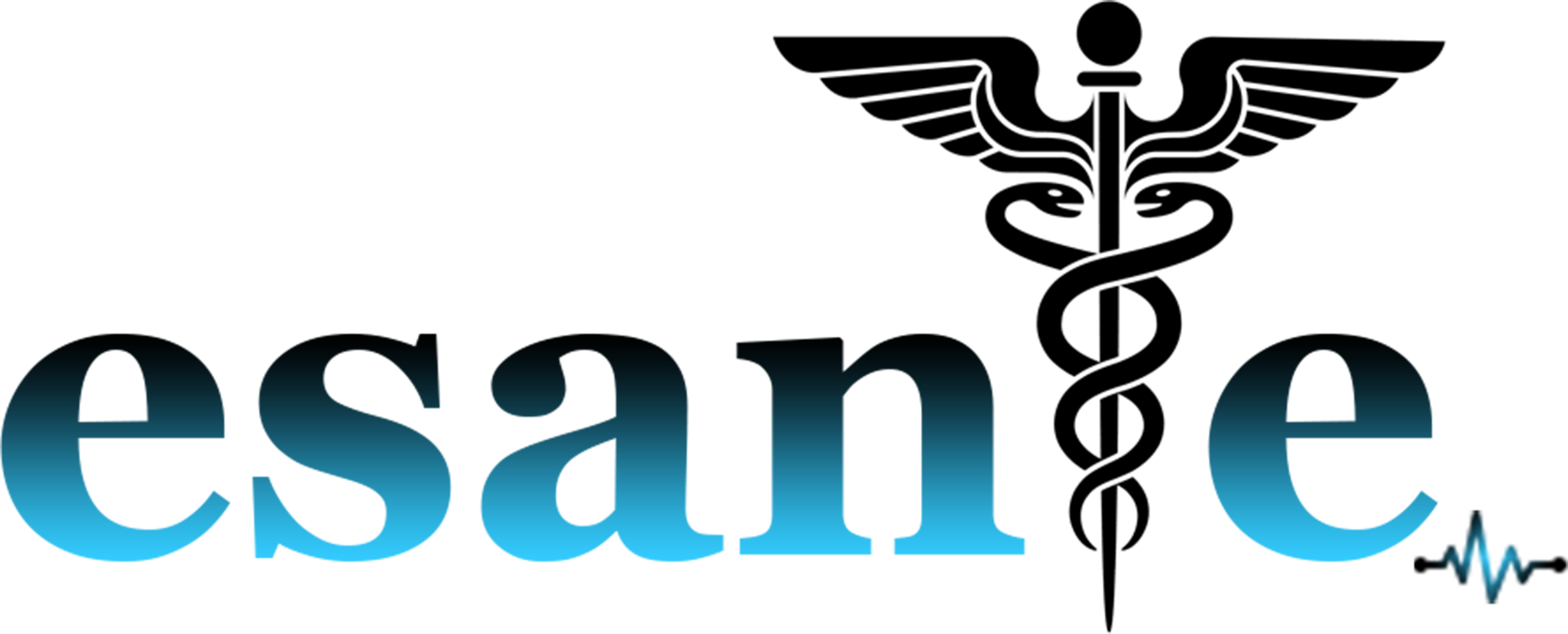 Logo Esante Company